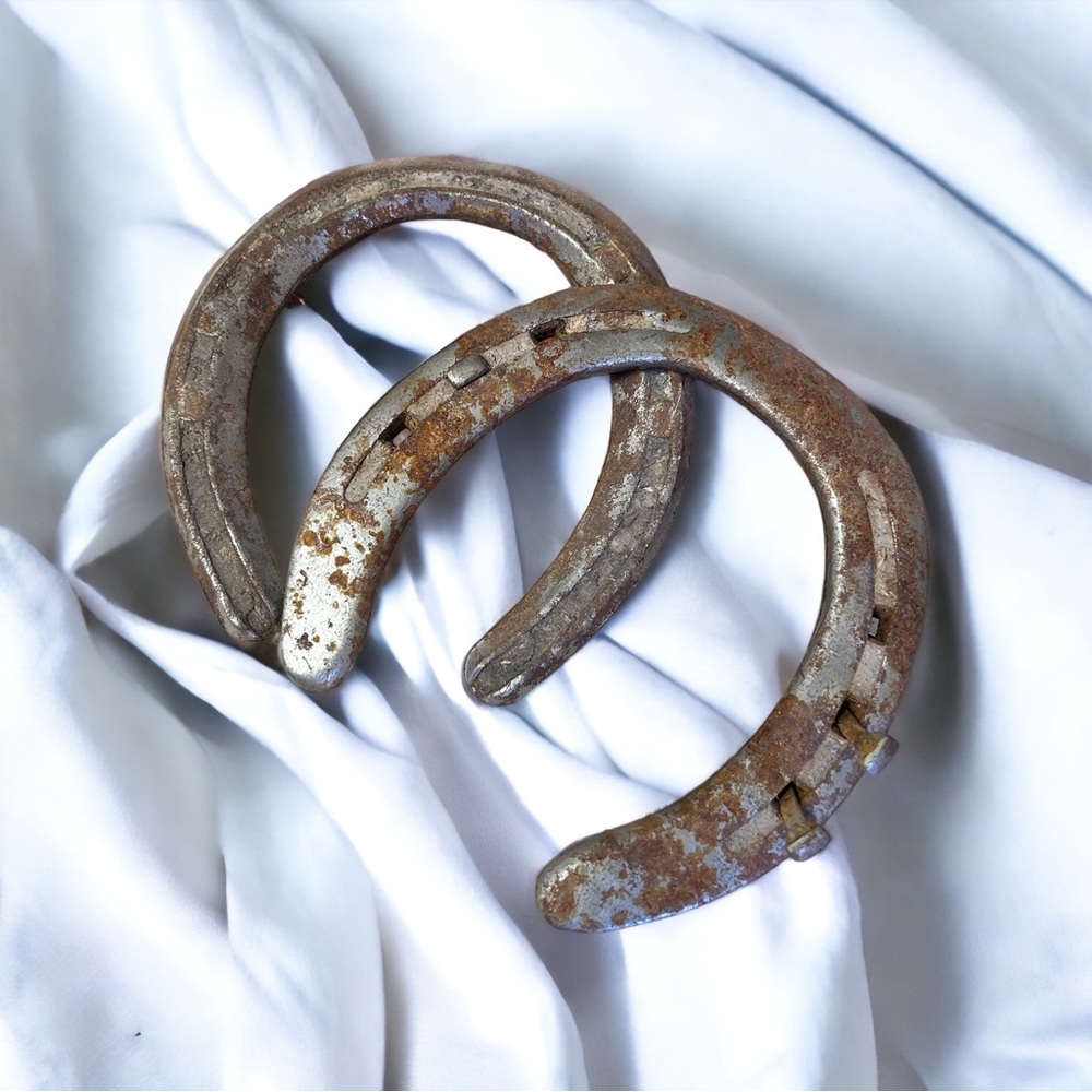 Vintage Horseshoes 🤍